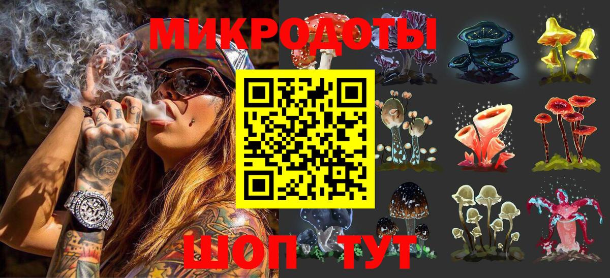 Галлюциногенные грибы Magic Shrooms Карпинск