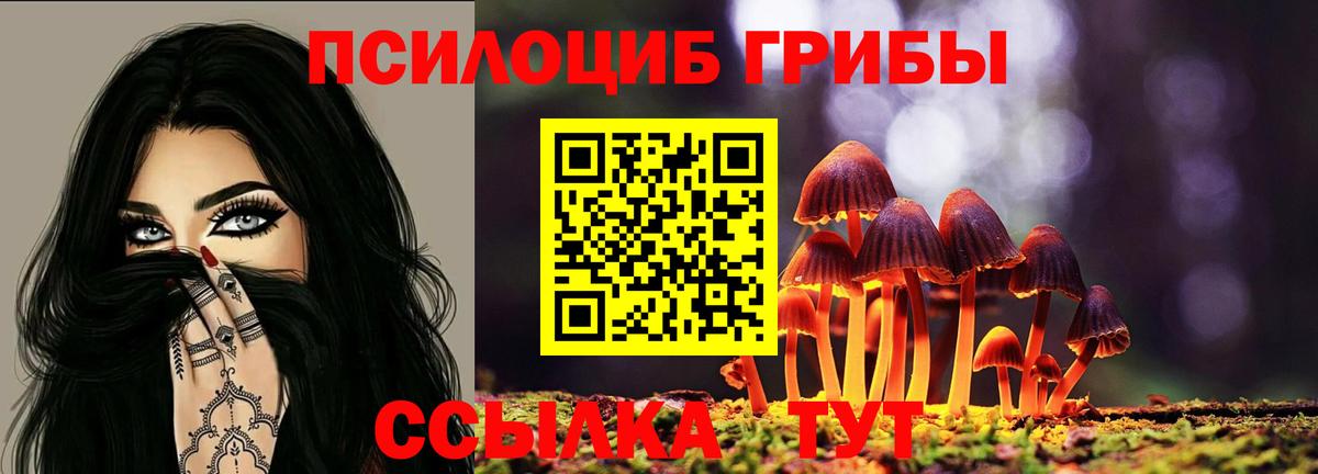 Карпинск  Псилоцибиновые грибы Psilocybe  Вход с VPN 